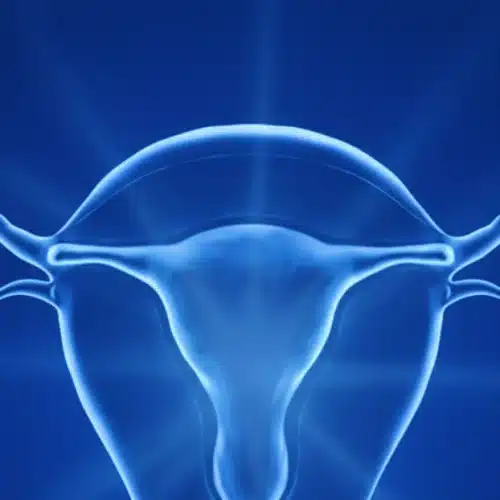 The Rise of Bioengineered Ovaries: Toward a Physiologic Alternative to HRT