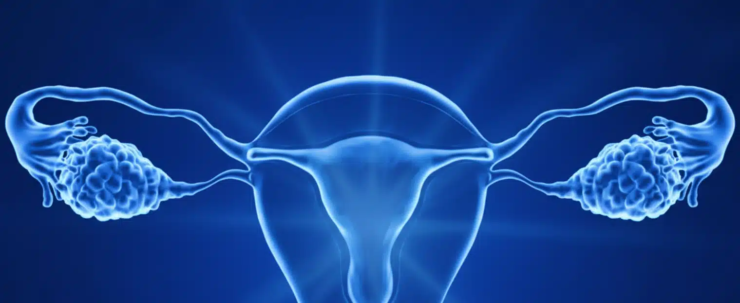The Rise of Bioengineered Ovaries: Toward a Physiologic Alternative to HRT