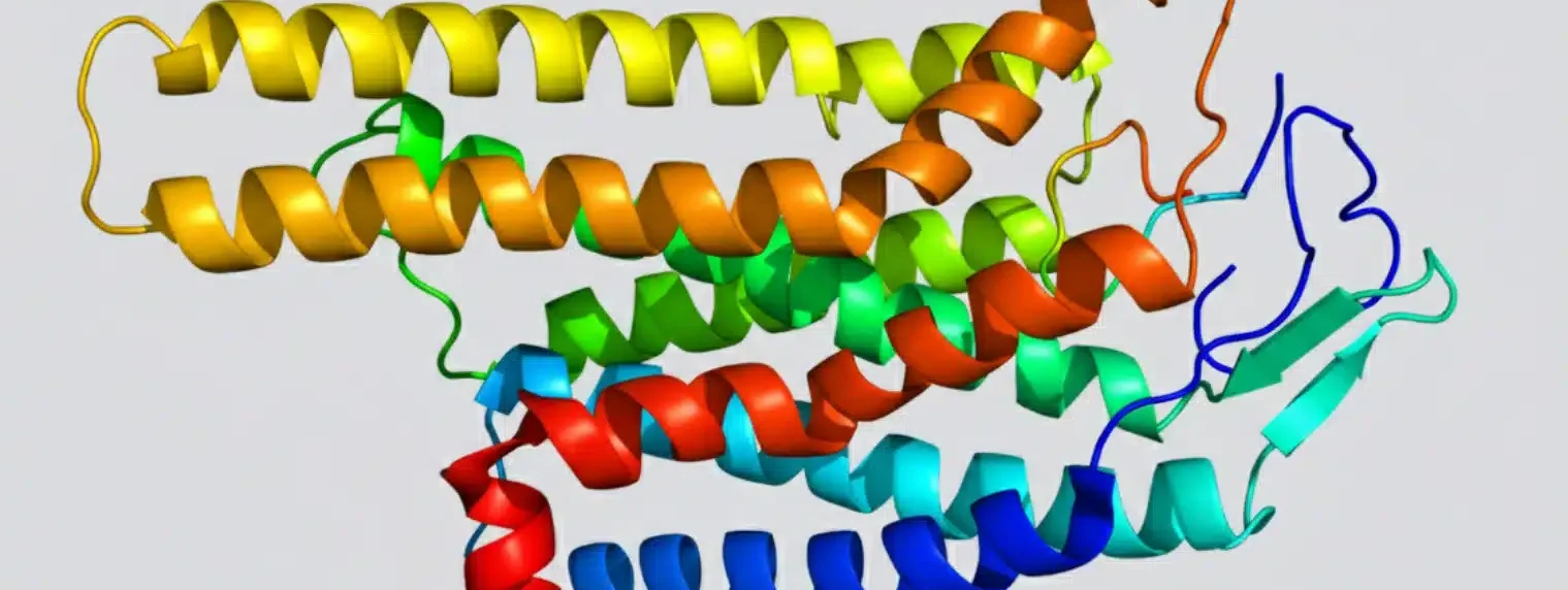 Oral Central Nervous System (CNS) Synergists: Integrating MC4R Agonists for Durable Weight Loss Maintenance