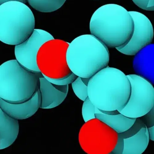 Geroprotection in Gynecology: Rapamycin and the Delay of Ovarian Aging