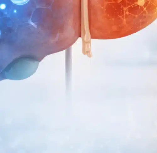 2026 MASH Pipeline Shift: Why Combination Regimens Are Taking Center Stage