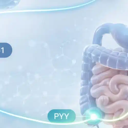 Long-Acting PYY as an Add-On to GLP-1 Therapy
